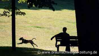 DWD korrigiert Hitzerekord vom Mittwoch