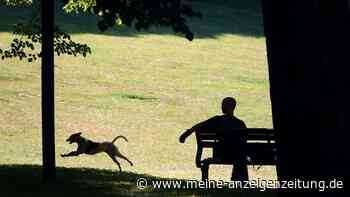 DWD korrigiert Hitzerekord vom Mittwoch
