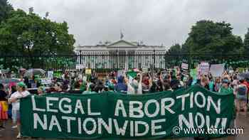 AP-NORC poll: Majority want Congress to keep abortion legal - Belleville News-Democrat