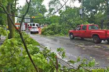 Belleville no longer collecting June 16 storm debris from curbside - The Intelligencer