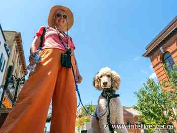 How to keep your pet cool when temperatures are high - The Intelligencer