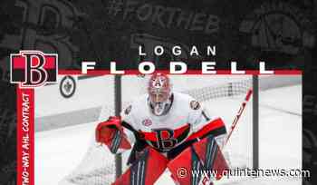 Logan Flodell signs with Belleville Senators - Quinte News