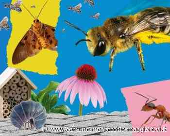 Palcoliberoincittà: URBAN BUGS - Città di Montecchio Maggiore - Comune di Montecchio Maggiore