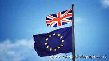 Heckling as Northern Ireland Protocol Bill introduced to House of Lords