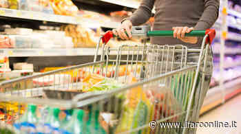 Troppo poche richieste ad Ardea, 89mila euro di buoni spesa tornano alla Regione - Il Faro online