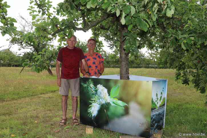 Kunst in bioboomgaard: “Eerbetoon aan aardse kunst én aan overleden zoon Simon”