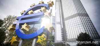 DIW-Präsident: Neues Anti-Krisen-Instrument der EZB riskant