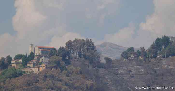 Incendi, in Friuli morta una volontaria: è stata travolta da un albero carbonizzato. Oltre mille evacuati in Toscana