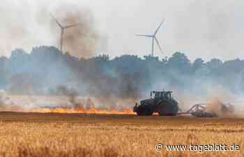 Feld in Neu Wulmstorf steht nach Mähdrescherbrand in Flammen - Blaulicht - Tageblatt-online