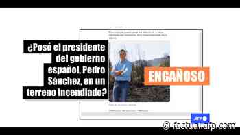 Pedro Sánchez no posó en un terreno quemado, escuchaba declaraciones del presidente extremeño - AFP Factual