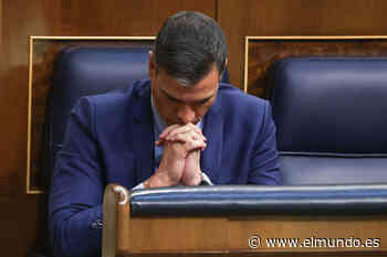 Pedro Sánchez contempla cambios en la Ejecutiva del PSOE y en los grupos parlamentarios - El Mundo