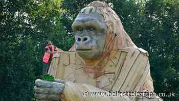 Four-tonne interactive gorilla sculpture wows onlookers at Bristol zoo