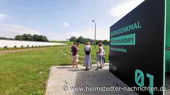 Das ist los am Wochenende im Landkreis Helmstedt - Helmstedter Nachrichten