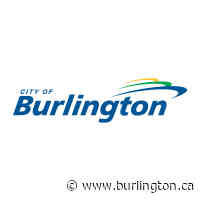 Coronavirus (COVID-19) - Burlington