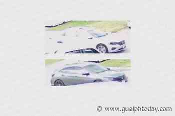 OPP investigating armed robbery in Fergus - Guelph News - GuelphToday