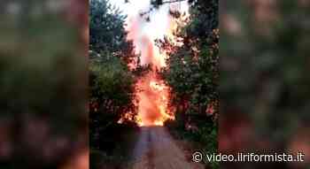 Incendio a Monfalcone sul Carso isontino: si lavora per fermare le fiamme che hanno iniziato a lambire le abitazioni - Il Riformista Video