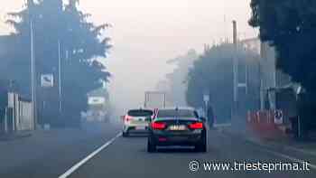 Incendio in Carso: il surreale VIDEO di Monfalcone "nella nebbia" - TriestePrima