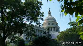 Congress and the Army have one chance to get Army Aviation right - The Hill