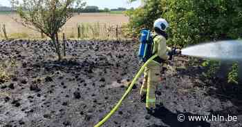 Brandje langs fietsostrade snel onder controle | Bornem | hln.be - Het Laatste Nieuws