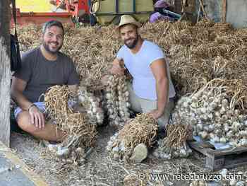 DA MACELLAIO E SALUMIERE A PRODUTTORI DEL MIGLIORE AGLIO ROSSO DI SULMONA - ReteAbruzzo.com