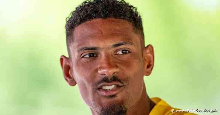 Haller meldet sich: Schritt eins ist abgeschlossen