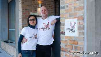 'Can't buy it, so let's create it': More than a decade ago, Alex had a dream about a 'better' way of living in a capital city