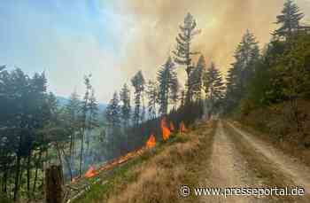 FW-MK: Waldbrand am Hegenscheid