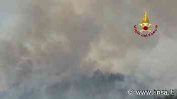 Incendio Carso, Canadair ed elicotteri all'opera nell'area sopra Sablici - Italia - Agenzia ANSA