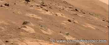 [EN IMAGES] Quel est donc cet objet mystérieux photographié sur Mars?