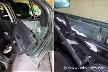 Spike in bears breaking into cars to grab food spark warning from B.C. conservation officers