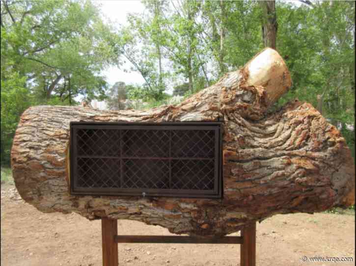 Tree removed from Santa Fe park repurposed as bee hotel
