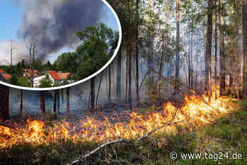 Waldbrand in Dresden gelöscht! Lage im Umland wieder unter Kontrolle - TAG24