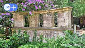 Arthur Schloßmann gründete in Dresden die erste Säuglingsklinik der Welt - Dresdner Neueste Nachrichten