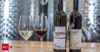 Österreich und Feldkirchen: Wein vom Trippelgut wurde zu einem Top-Wein gekürt - Kleine Zeitung