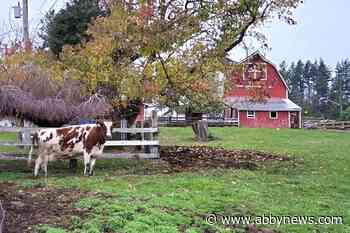 Petition aims to delay development of Cooper farm in Abbotsford