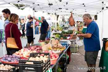 Mercatale Empoli, sosta estiva prima del ritorno a settembre - gonews