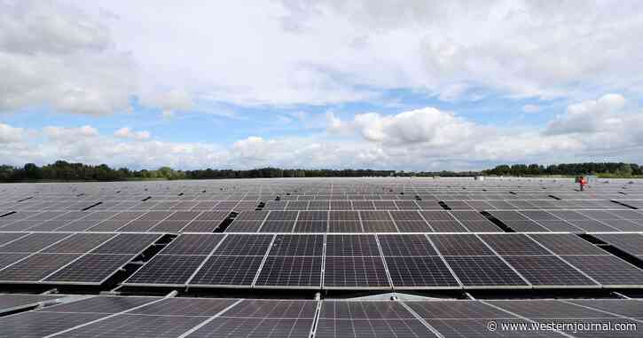 Solar Panels Suffer Stunning Failure as Weather Becomes 'Too Hot' for Them to Handle