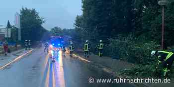 Meldungen von umgestürzten Bäumen beschäftigten Feuerwehr Nordkirchen - Ruhr Nachrichten