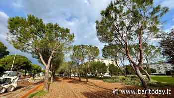 Piano Verde a Bari, manutenzione cimiteri e arredi urbani: tre sì dalla Giunta comunale - BariToday