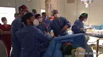 Al Policlinico di Bari primi 'mini gastric by-pass' - Agenzia ANSA