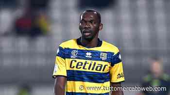 Bari, continua la caccia all'attaccante: Simy, Gytkjaer e Mancuso i nomi caldi - TUTTO mercato WEB