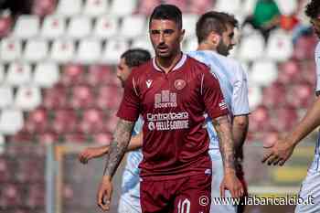 CdM - Al Bari è l'ora di Gytkjaer e Bellomo - La Bari Calcio