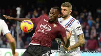 Salernitana, Simy spinge per il Bari e il club vuole accontentarlo: presto l'affare può decollare - TUTTO mercato WEB