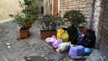 Bari, tra movida e turismo la città vecchia sempre più sporca: "I vicoli trasformati depositi di rifiuti" - La Repubblica