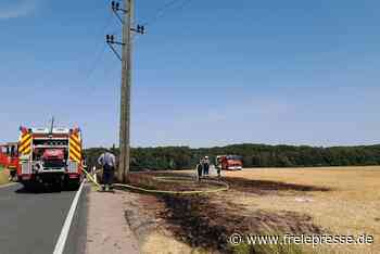 Feldbrand bei Reichenbach führt zu Großeinsatz von Brandschützern - freiepresse.de