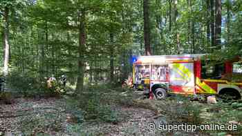 Waldbrand in Haan: Spaziergänger wählte Notruf - Super Tipp