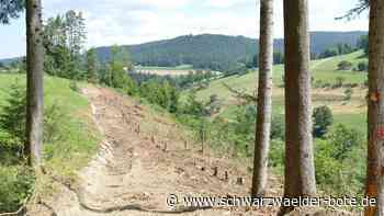 Fällarbeiten in Dornhan - Sperrung wird von Verkehrsteilnehmern ignoriert - Schwarzwälder Bote