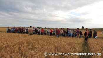 Landwirtschaft in Bergfelden - Ist eine Reduktion von Pflanzenschutzmitteln denkbar? - Schwarzwälder Bote