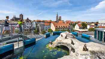 Stralsund: Wo der einst reichste Mann an der Ostsee wohnte - WELT - WELT