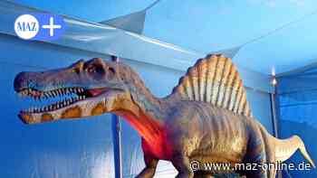 Falkensee: Gutspark wird zu Dinosaurierland - Märkische Allgemeine Zeitung